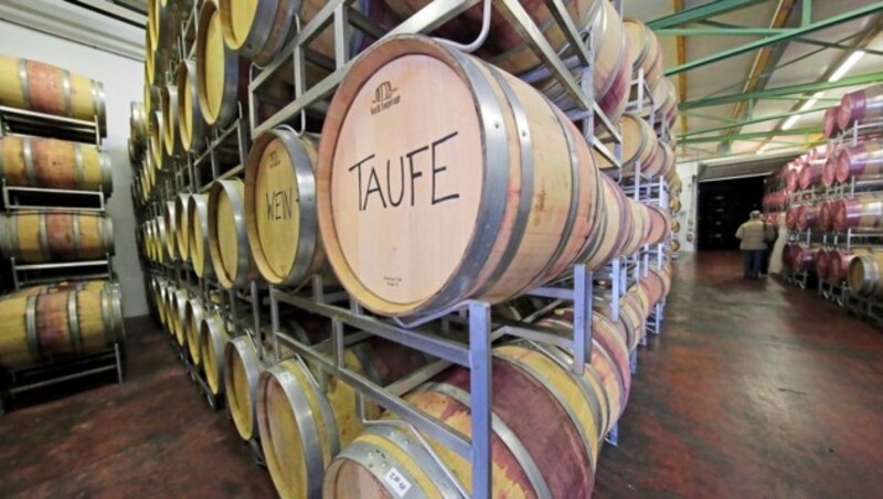Wein als Touristenmagnet: Jahr für Jahr lockt das Brauchtum Martiniloben zahlreiche Gäste. (Bild: Klemens Groh)