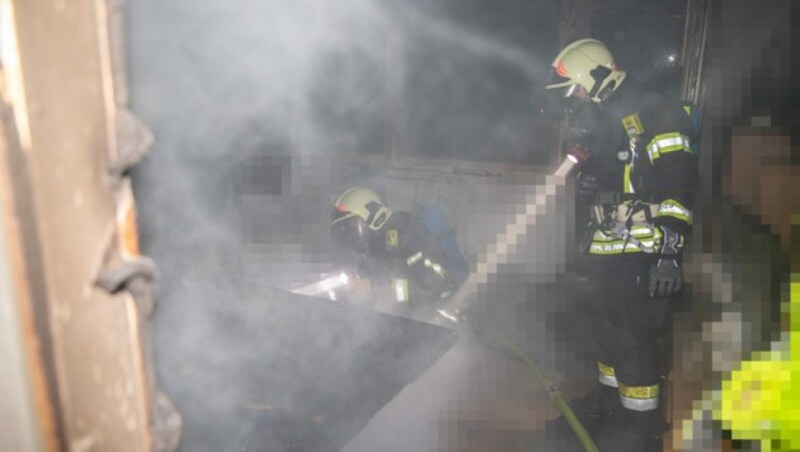 60 Feuerwehrleute standen im Einsatz. (Bild: Pressestelle BFK Mödling / Paul Fastner)