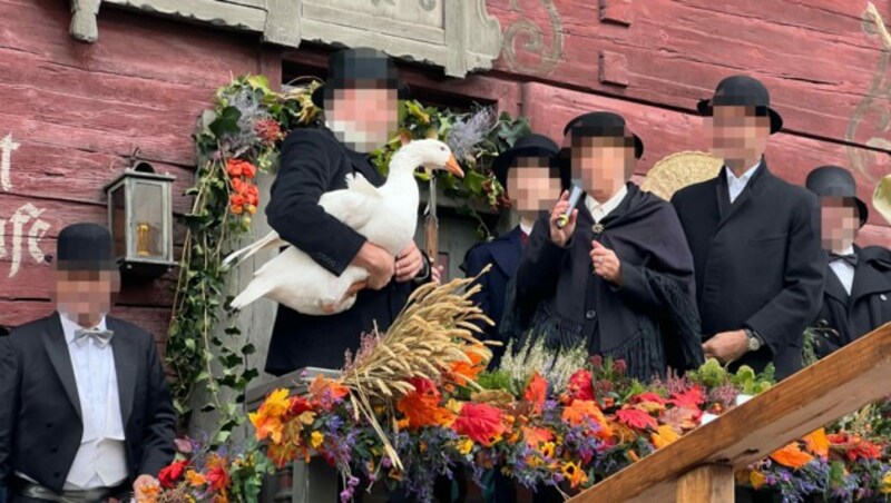 Vor dem Roten Haus fühlte sich Eduard sichtlich unwohl. (Bild: VGT.at / VEREIN GEGEN TIERFABRIKEN)