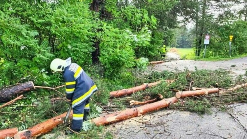 Die Feuerwehren waren zuletzt wieder im Großeinsatz. (Bild: Marcel Tratnik)