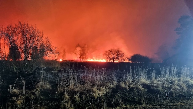 Für den Kampf gegen Waldbrände, wie jenen in Allentsteig, hat man in Echsenbach nun ein neues Spezialfahrzeug stationiert. (Bild: Feuerwehr Zwettl)