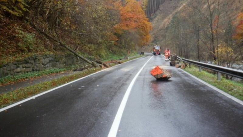 Mehrere Felsblöcke stürzten am 11. November auf die B20 zwischen Thörl und Kapfenberg. (Bild: Fachabteilung Straßenerhaltungsdienst)