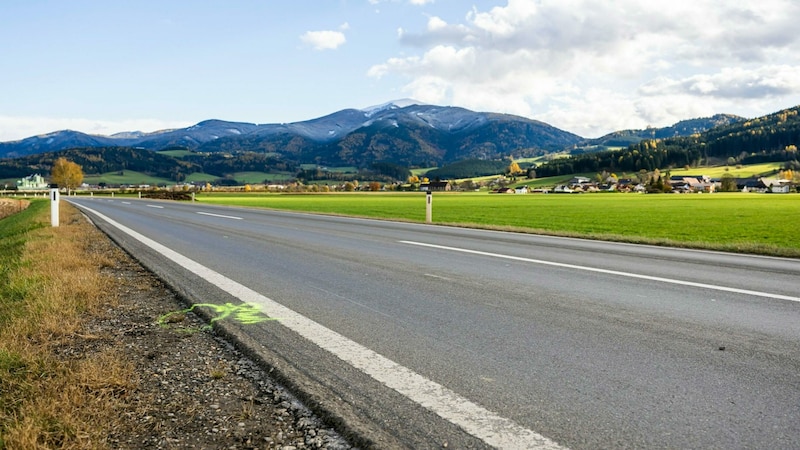 Der Scooterlenker verstarb noch direkt an der Unfallstelle. (Bild: APA/LUCAS PRIPFL)