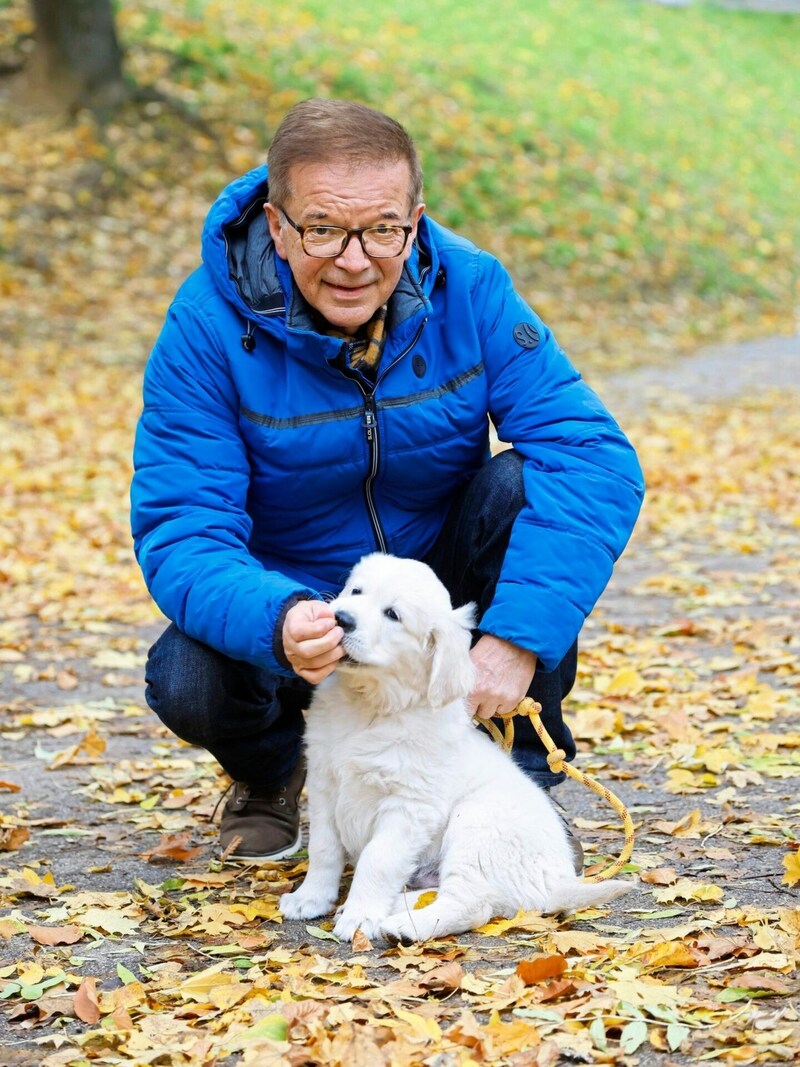 Rudi Anschober und Welpe „Junior“ bei einem herbstlichen Spaziergang. (Bild: Klemens Groh)