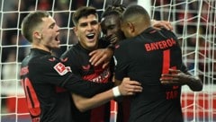 Bayer Leverkusen in Torlaune (Bild: APA/AFP/INA FASSBENDER)