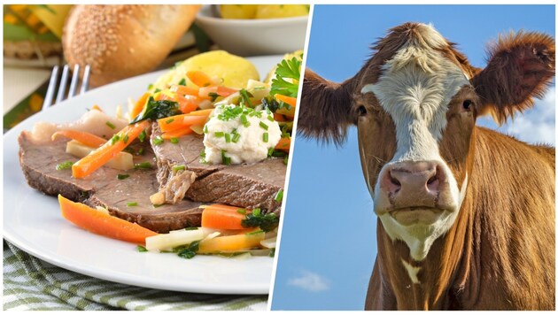 Der Tafelspitz ist ein Aushängeschild der Österreichischen Küche. Beim Restaurantbesuch ist die Herkunft des Fleisches nicht immer nachvollziehbar - das muss sich ändern! (Bild: Stock Adobe/Krone Kreativ)
