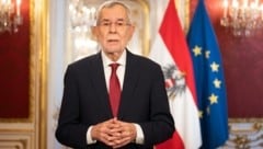 Wer war der kleine Elefant im Hofburg-Studio während der Rede von Alexander Van der Bellen? (Bild: APA/HBF/LAURA HEINSCHINK)