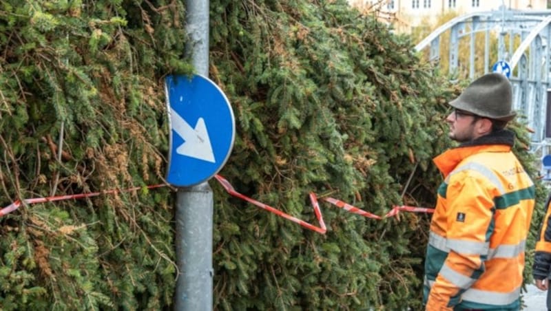 Beim Abbiegen auf den Residenzplatz hakte es ein bisschen: Der 17 Meter hohe Baum blieb an einem Verkehrsschild hängen. (Bild: Berger Susi)