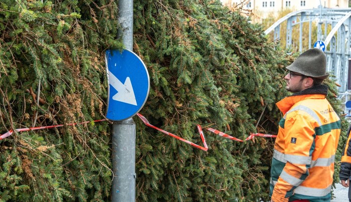 Beim Abbiegen auf den Residenzplatz hakte es ein bisschen: Der 17 Meter hohe Baum blieb an einem ...