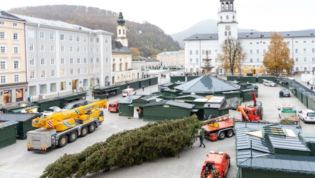 Durch die Verzögerung beim Transport stand der Baum später als geplant auf dem Residenzplatz (Bild: Berger Susi)