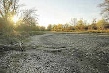 Diese Bilder aus der Lobau erinnern an Afrika. (Bild: zVg)