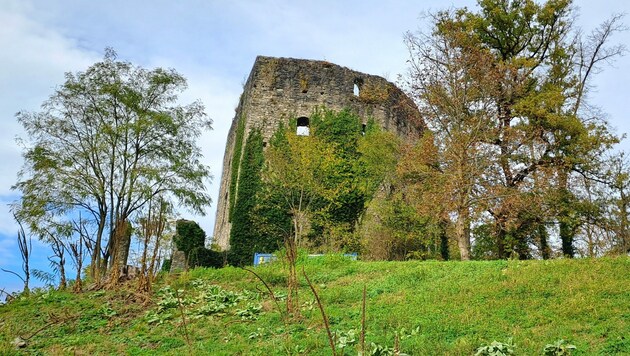 Überreste der Burg thronen auf der Hügelkuppe. (Bild: Bergauer)