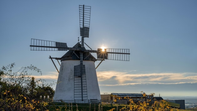 Das Wahrzeichen von Retz finden wir am Kalvarienberg: die Windmühle. (Bild: Dieter Franke)