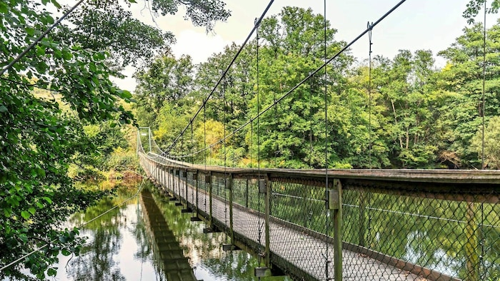 Der Nationalpark Thayatal liegt im niederösterreichischen Grenzgebiet zu Tschechien.