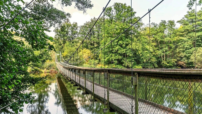 Der Nationalpark Thayatal liegt im niederösterreichischen Grenzgebiet zu Tschechien. (Bild: Nationalpark Thayatal, Claudia Ebner)