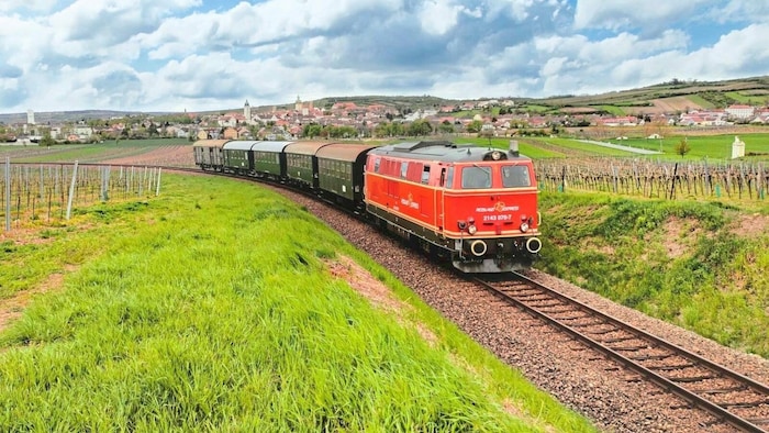 „Reblaus Express“