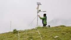 Acht Fachbereiche beteiligen sich am Langzeitmonitoring weit über der Baumgrenze im Gebiet des Nationalparks. (Bild: fabian dalpiaz)