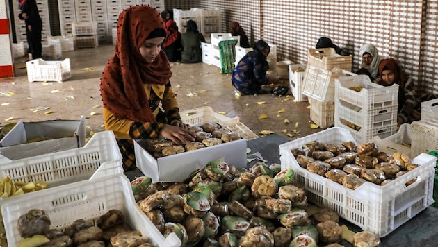 Eine Frau in Syrien sortiert Lebensmittel. (Bild: AFP)