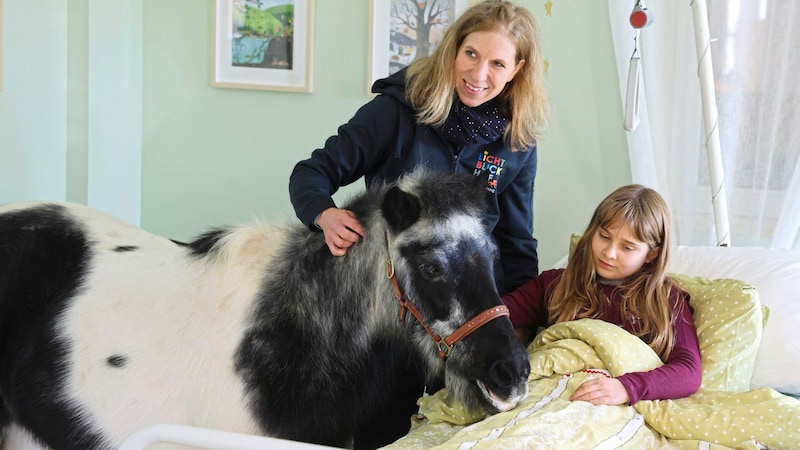 Wo Tiere direkt ans Krankenbett kommen können: Roswitha Zink mit einem der tierischen Therapeuten in der Hospiz-Begleit-Wohnung. (Bild: Zwefo)