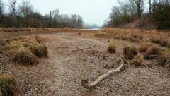 Die Karte hält einige Überraschungen bereit – etwa, dass das Grundwasser im Naturparadies Lobau kaum lebensfreundliche Bedingungen bietet. (Bild: Kurt Kracher)