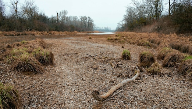 Die Karte hält einige Überraschungen bereit – etwa, dass das Grundwasser im Naturparadies Lobau kaum lebensfreundliche Bedingungen bietet. (Bild: Kurt Kracher)