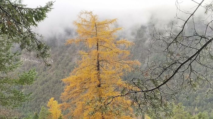 Herbststimmung im Gurgltal