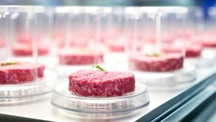 Laborfleisch bereitet Kärntnern Sorgen. 