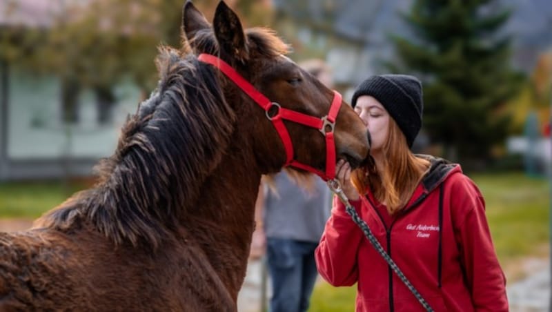 Fohlen Zafar und Tierpflegerin Lisa. (Bild: Gut Aiderbichl)