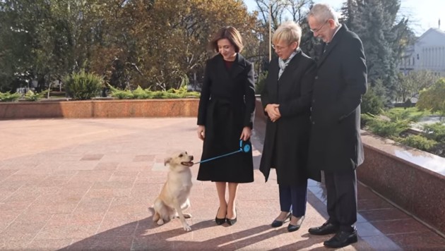 Hier ist alles wieder gut: Präsidentin Maia Sandu mit ihrem Hund Codrut, ihrer slowenischen Amtskollegin Natasa Pirc Musar und Bundespräsident Van der Bellen (Bild: Facebook/Maia Sandu)