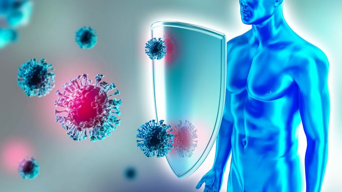 In der kalten Jahreszeit ist das Immunsystem besonders gefordert.
