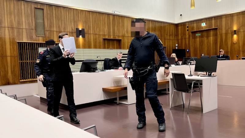 Am Freitag musste sich ein 33-Jähriger vor Gericht verantworten. (Bild: Sophie Pratschner, Krone KREATIV)