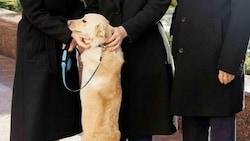 Auf diesem Bild ist wieder alles gut - kurz davor hatte der Hund von Moldaus Präsidentin Maia Sandu Alexander Van der Bellen in die Hand gezwickt. (Bild: Instagram/Maia Sandu)
