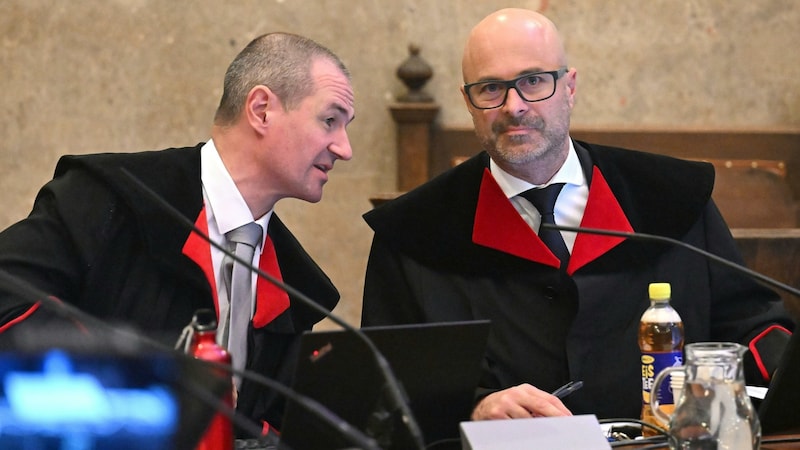 Gregor Adamovic (right) at the trial against Sebastian Kurz (Bild: APA/HELMUT FOHRINGER)