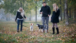 Ein entspannter Spaziergang: Nicht für jeden Besitzer und dessen Vierbeiner ist das so einfach möglich. Gute Hundetrainer können helfen - ohne Gewalt. (Bild: stock.adobe.com - Zelma )