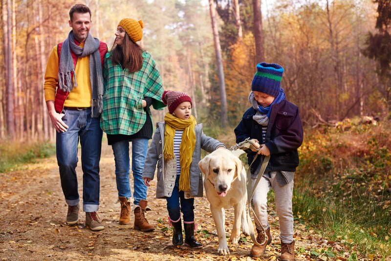 Ein Hund kann die körperliche Fitness deutlich steigern, besonders bei Kindern. (Bild: stock.adobe.com - gpointstudio)