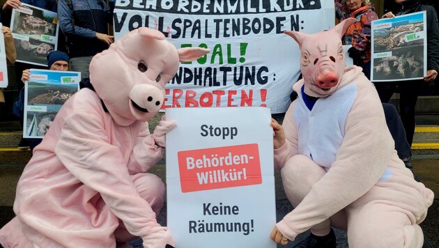 Tierschützer demonstrierten vor dem Landwirtschaftsministerium  (Bild: VGT.at)