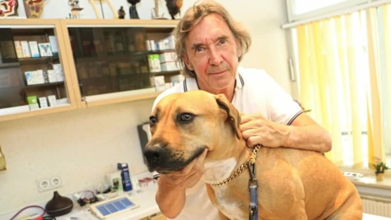 Georg Rainer hilft im Tiernotdienst. (Bild: Uta Rojsek-Wiedergut)