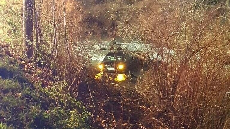 Der Wagen fuhr rund 80 Meter die Böschung hinab, ehe er gegen einen Baum krachte und im Bach ...