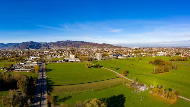 Die S18 in der aktuellen Variante sähe eine Ortsumfahrung von Lustenau vor. (Bild: Stiplovsek Dietmar)