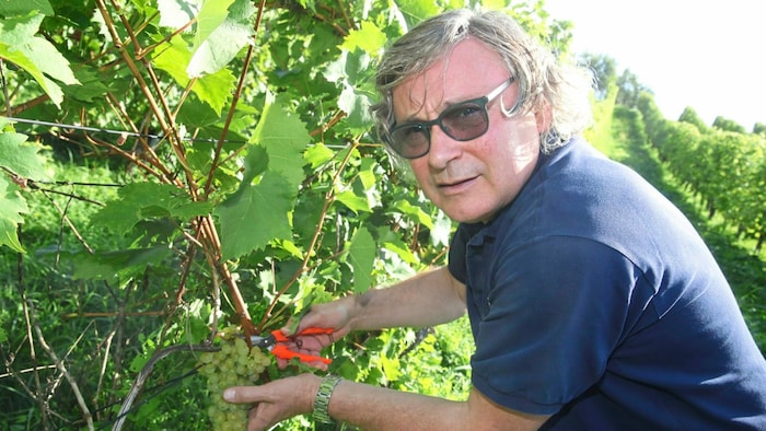 Walter Polz im Jahr 2019 im Weingarten.