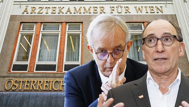 Johannes Steinhart und die Ärztekammer wollen Gesundheitsminister Johannes Rauch ausbremsen. (Bild: , Krone KREATIV)