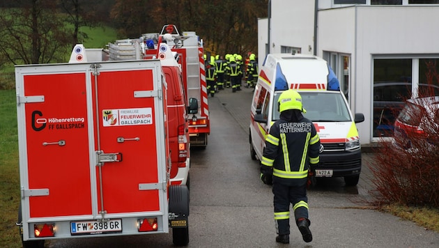 Helfer von insgesamt neun Feuerwehren waren in Natternbach auf der Suche nach der Quelle der Hilferufe im Einsatz. (Bild: Laumat)