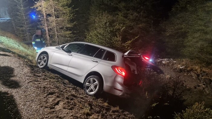 Das zweite Auto wurde von einer Baumgruppe gestoppt.