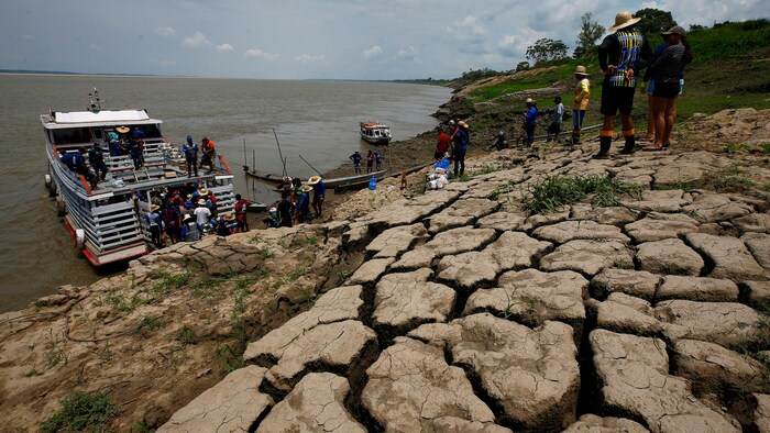 Das Amazonasbecken erlebt derzeit einen alarmierenden Mangel an Wasser. 