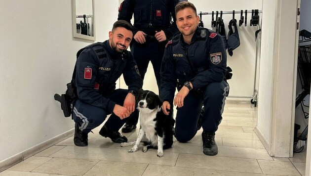 Polizisten aus dem Bezirk Döbling konnten den entlaufenen Hund seinem Besitzer zurückbringen. (Bild: LPD Wien)