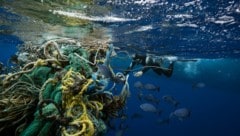 Etwa zwei Prozent der weltweit verwendeten Fischereiausrüstung sollen jährlich im Meer landen. (Bild: © Justin Hofman / Greenpeace)