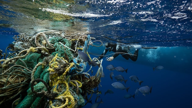 Around two percent of the fishing equipment used worldwide ends up in the sea every year. (Bild: © Justin Hofman / Greenpeace)