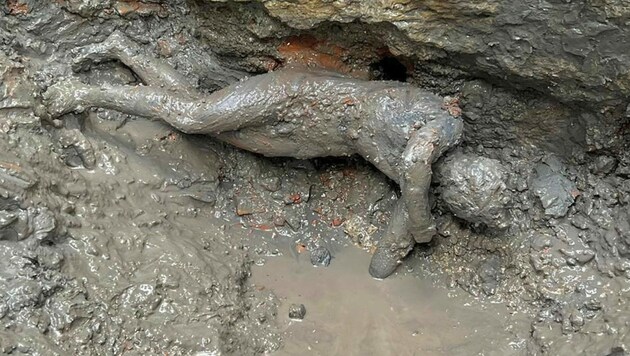 Bei Ausgrabungen in der toskanischen Thermen-Kleinstadt San Casciano dei bagni haben Archäologen eine Apollo-Statue (Bild) entdeckt. (Bild: APA/Italien Culture Ministry)
