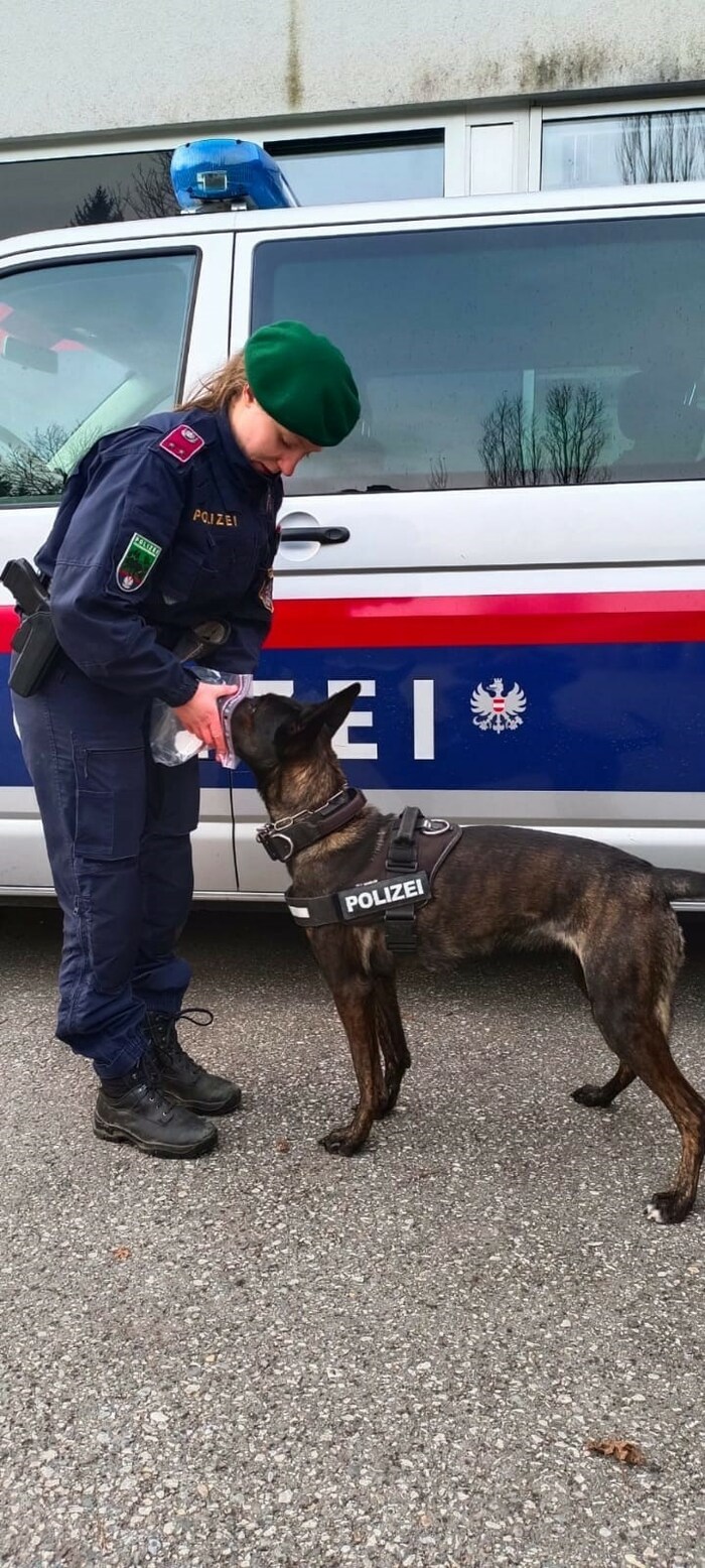„Oana“ mit ihrer Hundeführerin Christina.