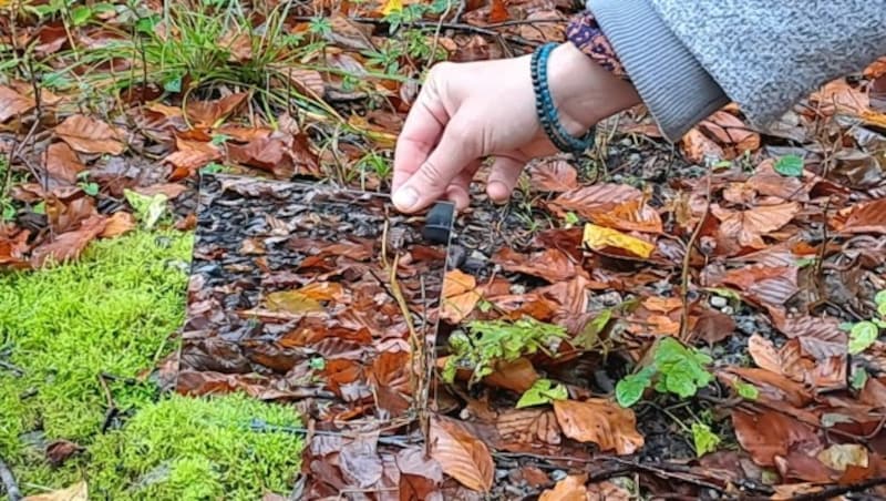 Nadine Nesler nimmt einen kleinen Spiegel in den Wald mit - so kann man ganz unmittelbar den eigenen Blickwinkel ändern. (Bild: Bergauer)